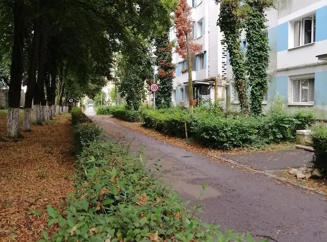 Amm Grigorescu Lägenhet